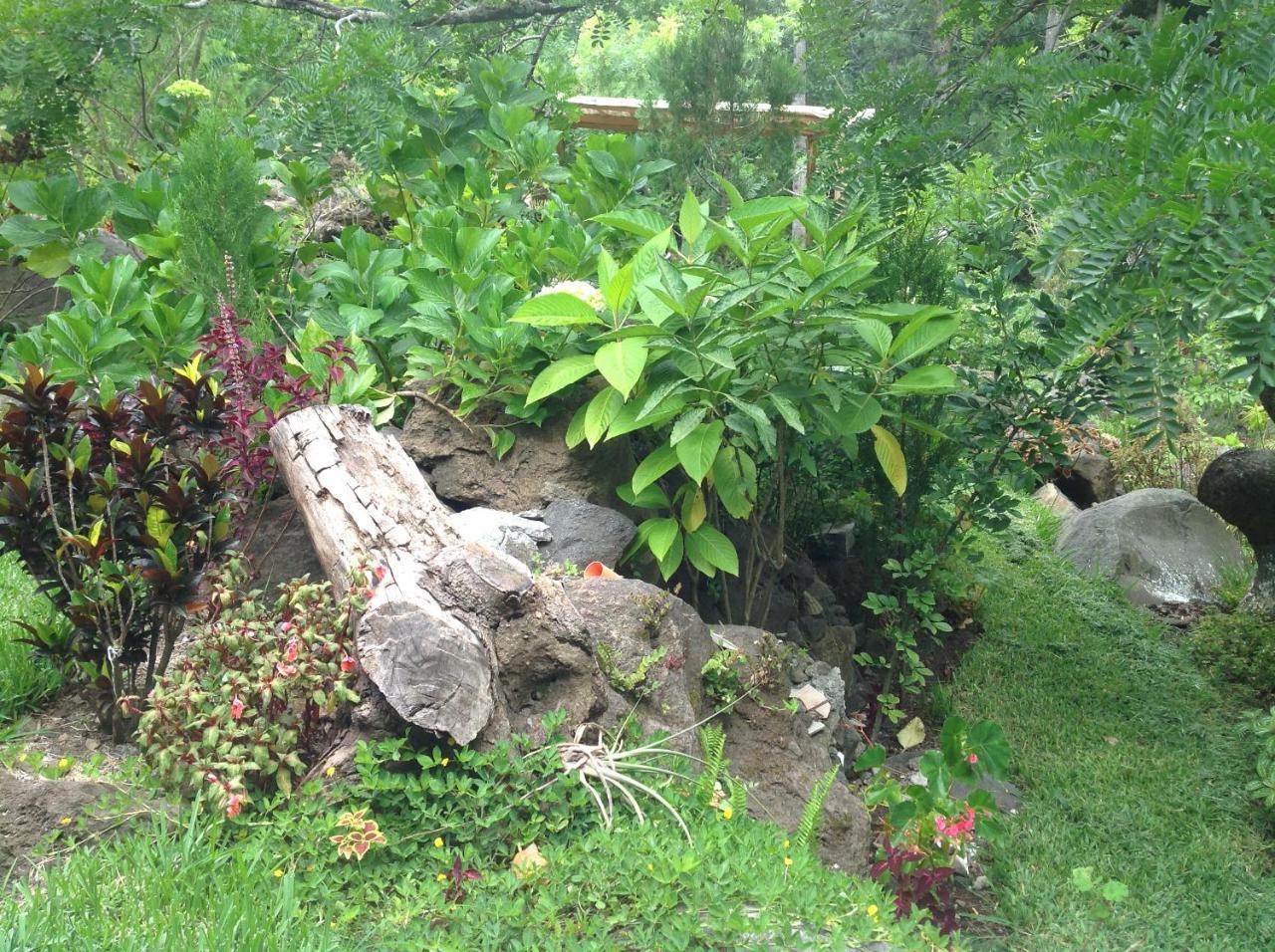 Hotel y Bungalows ecologicos Marcelo Santiago Atitlán Exterior foto