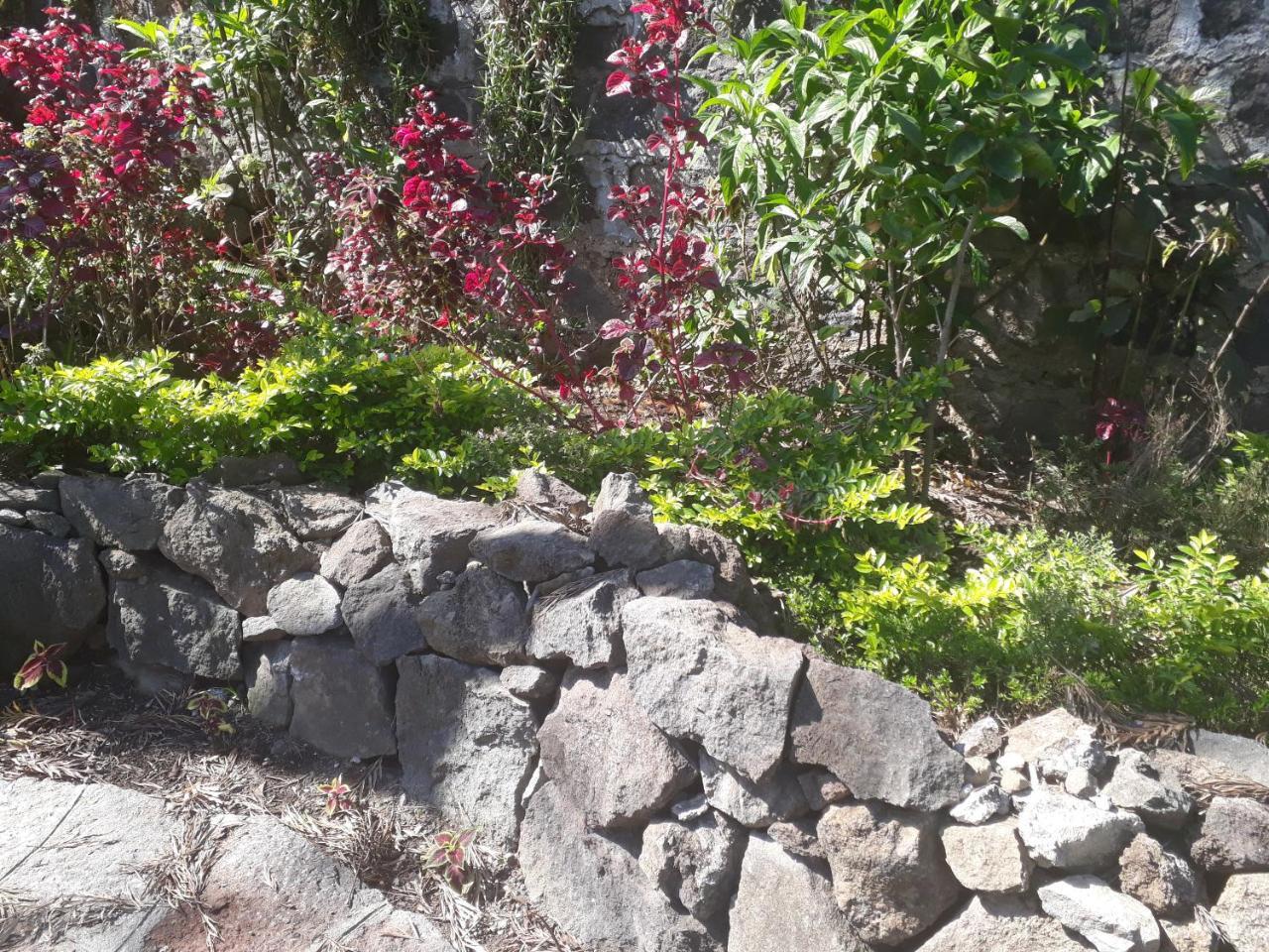 Hotel y Bungalows ecologicos Marcelo Santiago Atitlán Exterior foto